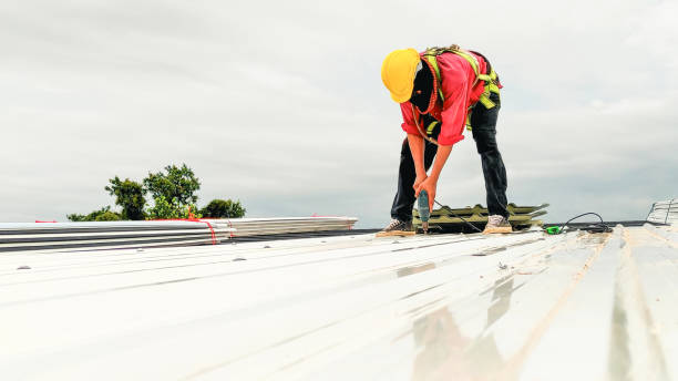 Best Skylight Installation and Repair  in Twin Grove, IL